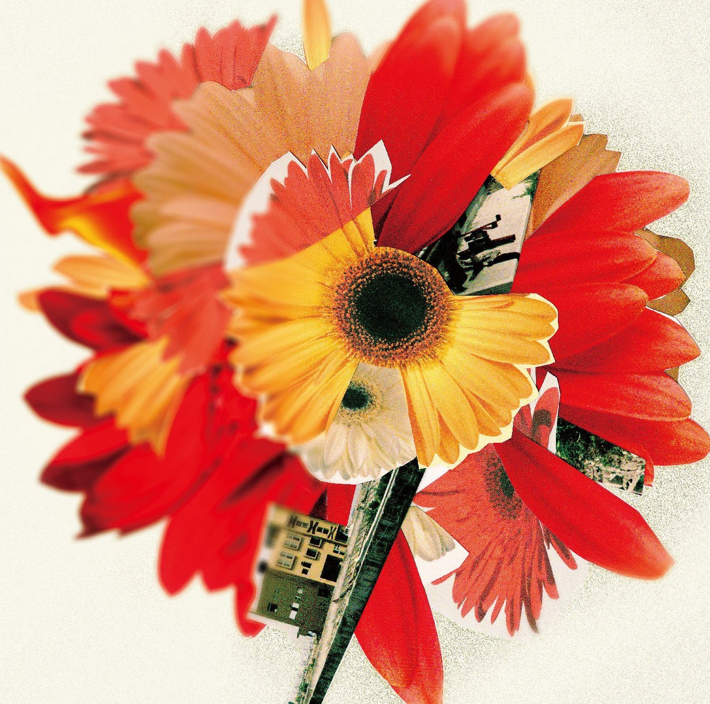 Amazon.co.jp: NHK「明日へ」東日本大震災復興支援ソング「花は咲く